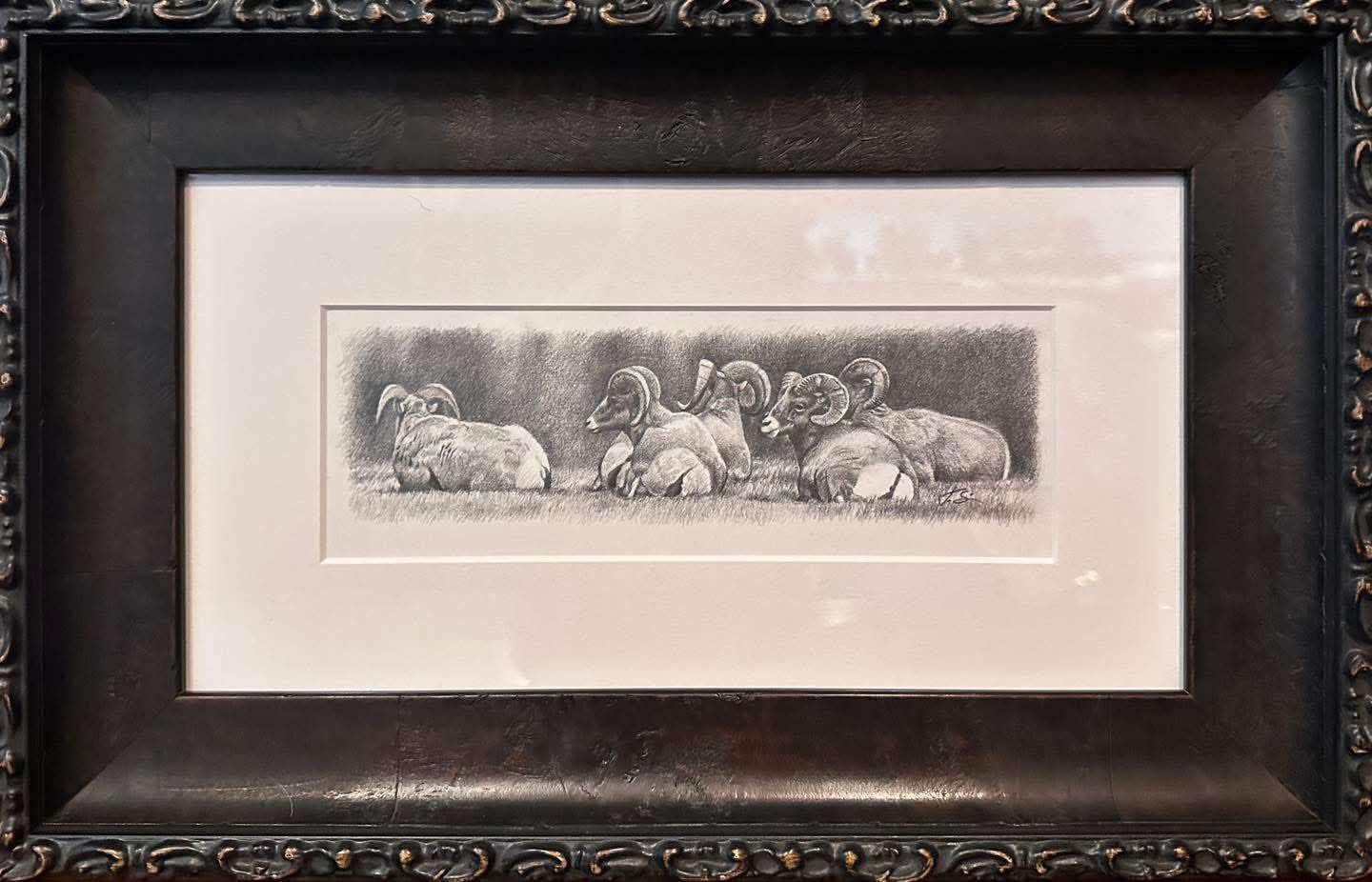 Framed Original Bighorn Sheep