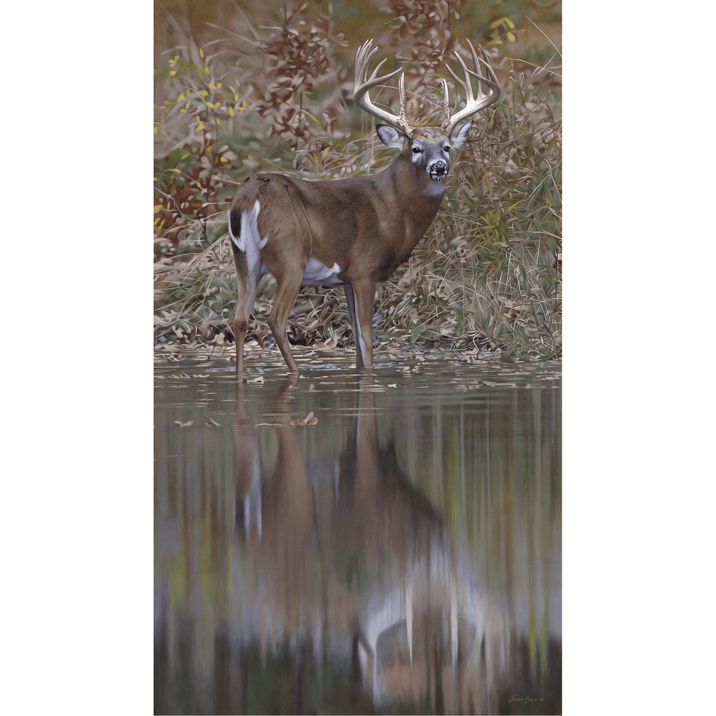 Bunning Whitetail