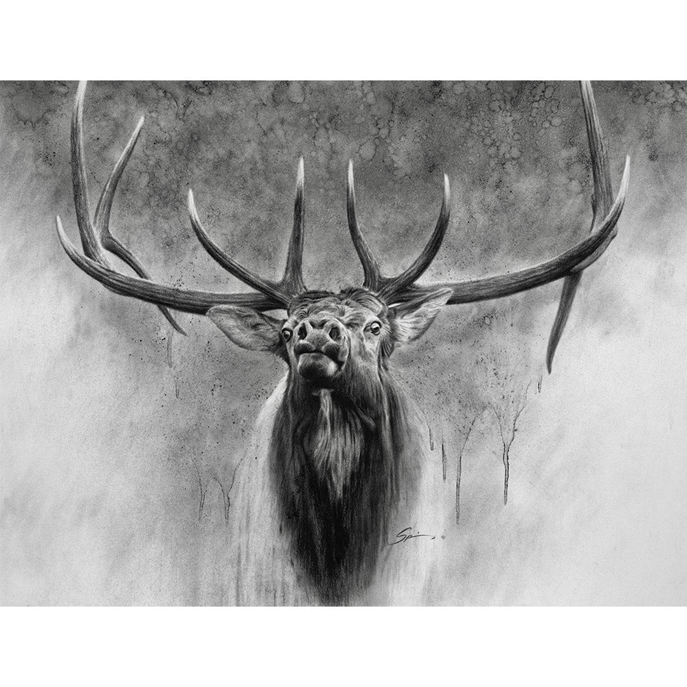 Elk