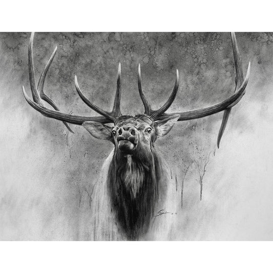 Elk