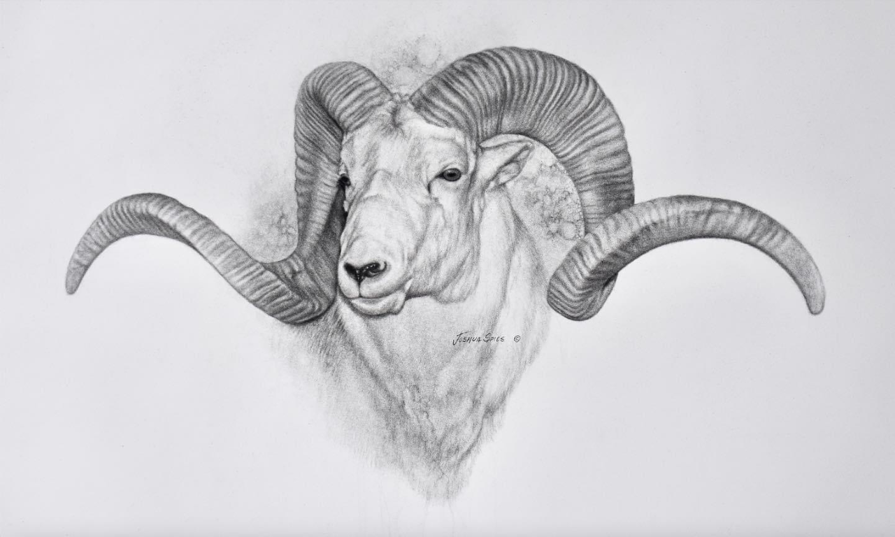 Marco Polo Charcoal