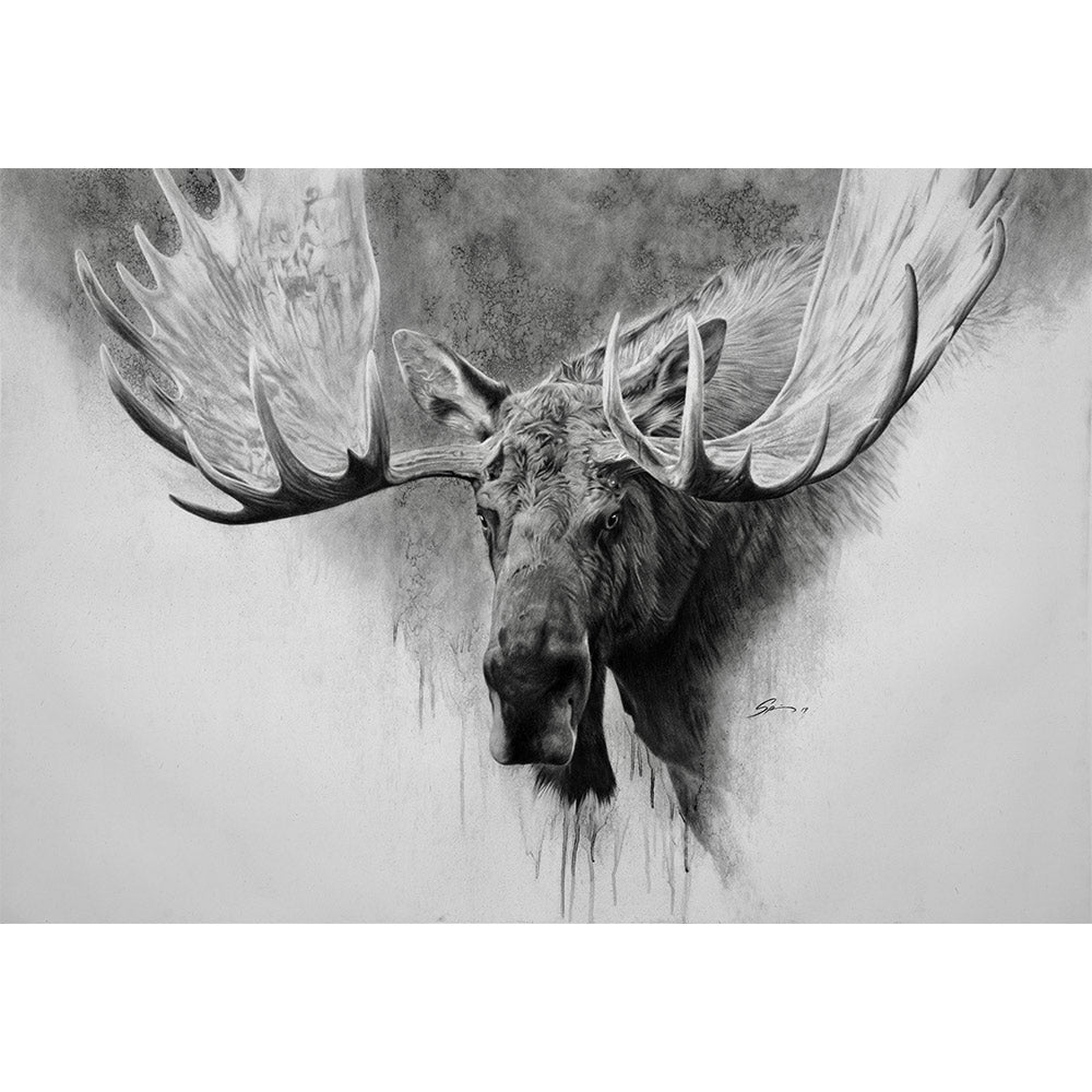 Moose