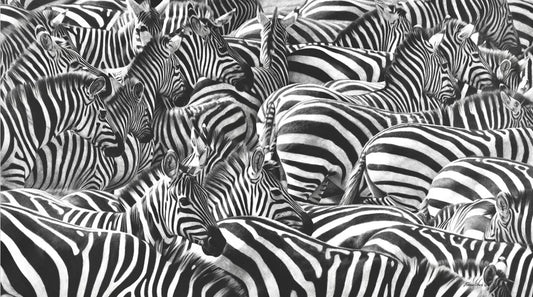 Stripes