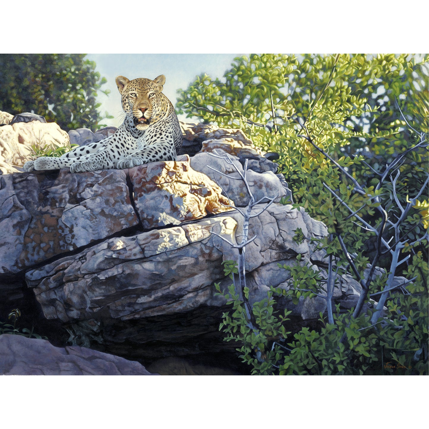 Vantage Point