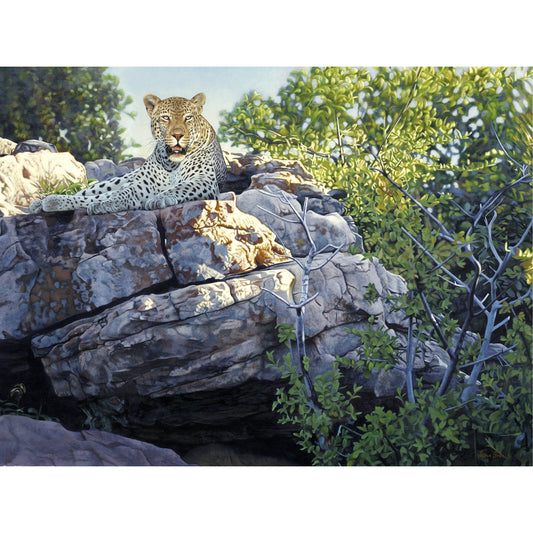 Vantage Point