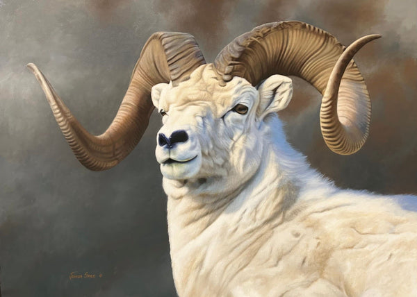 Ram