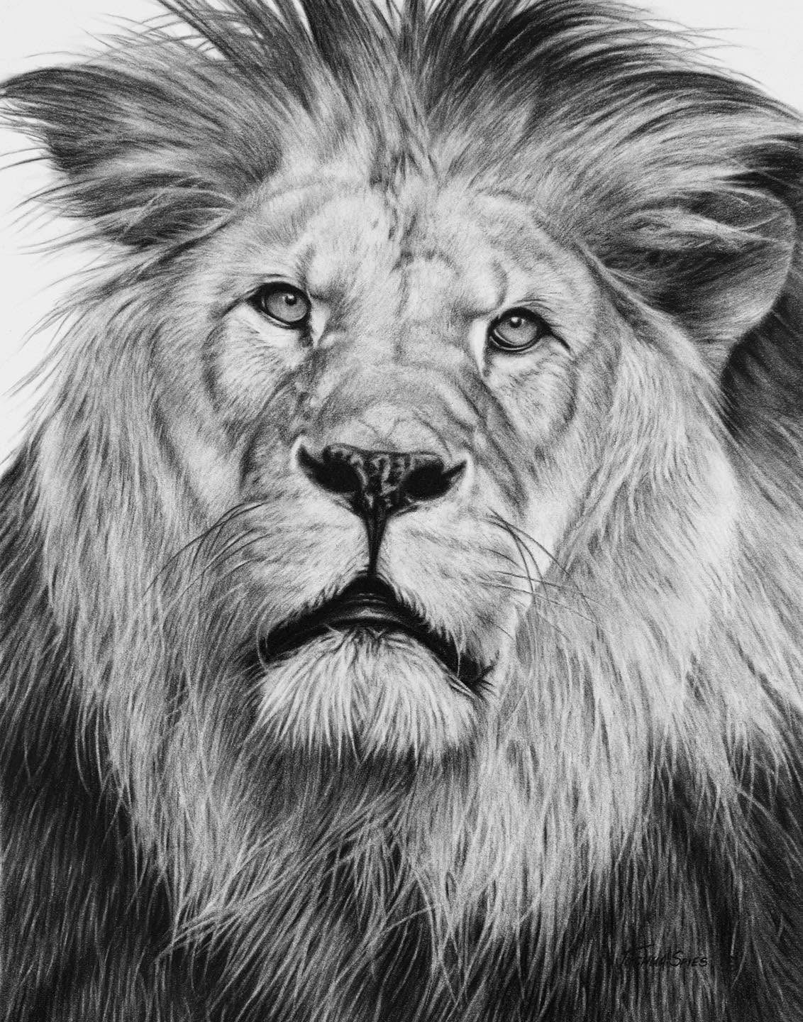 Framed Original Lion Portrait