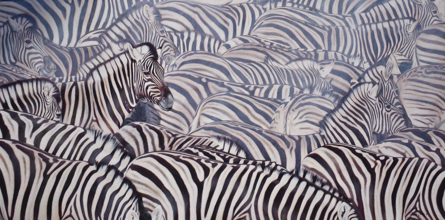Burchells Zebras
