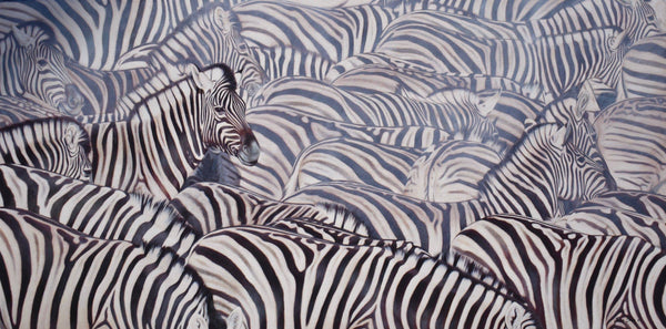Burchells Zebras
