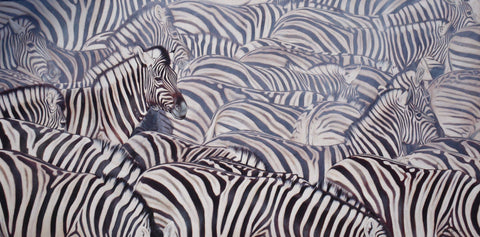 Burchells Zebras