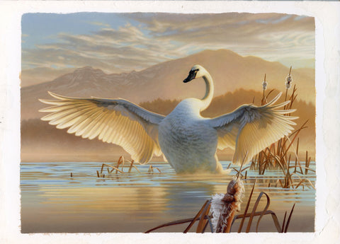 Tundra Swan-Federal Duck Stamp Entry 2022
