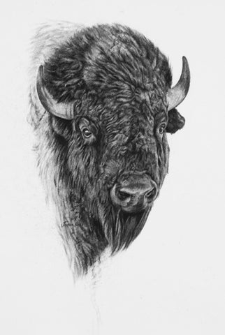Bison III