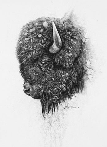 Bison IV