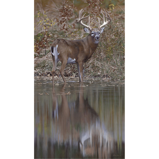 Bunning Whitetail