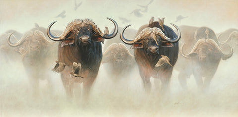Big Cape Buffalo - Original Painting