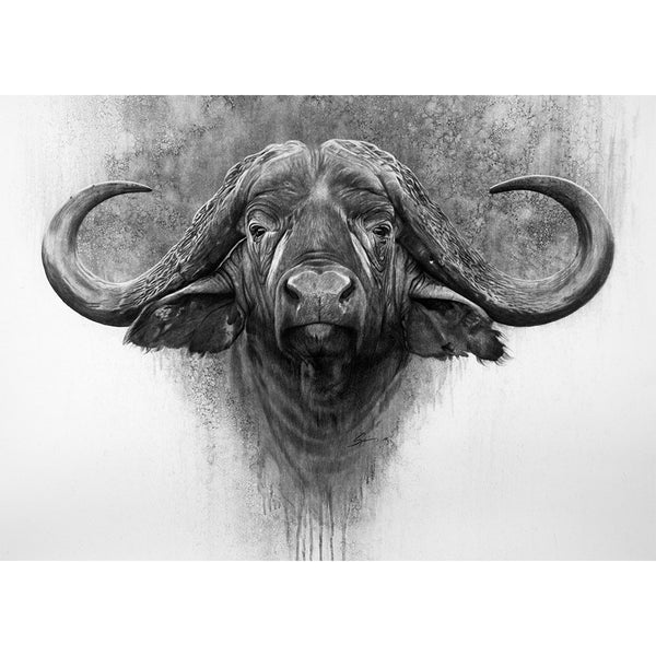 Cape Buffalo Charcoal