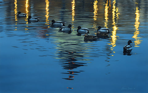 Capitol Reflections