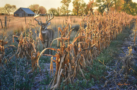 Dagel Buck