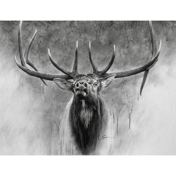 Elk