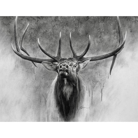 Elk