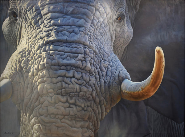 Eye to Eye Framed Giclee