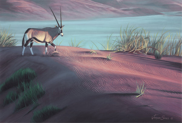 Gemsbok