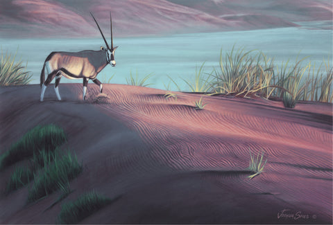 Gemsbok