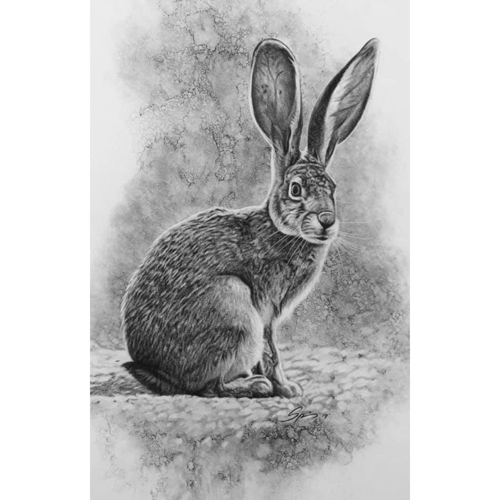Jack Rabbit Painting