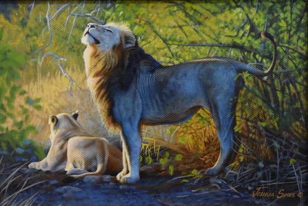 Lion Pair "A Place In The Sun"