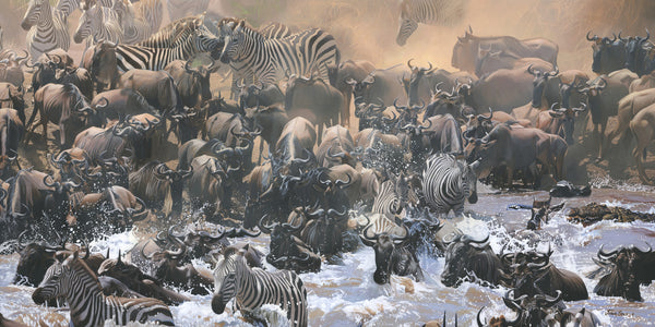 Mara River Migration