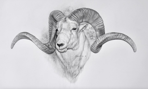 Marco Polo Charcoal