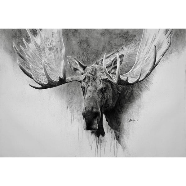 Moose