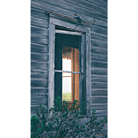 Prairie Perspective