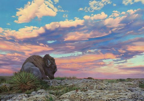 Prairie Solitude