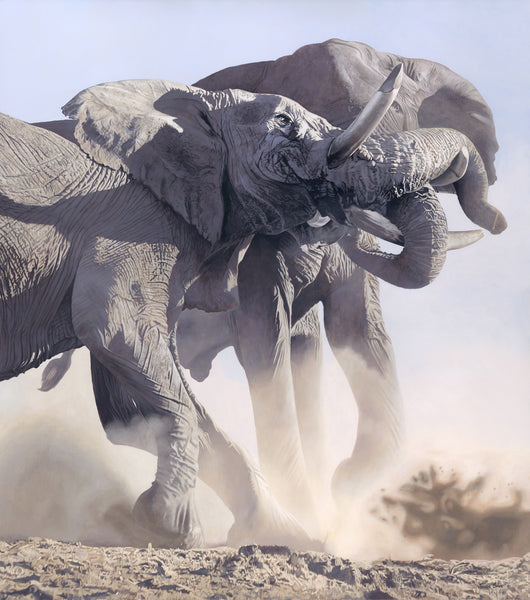 Raging Bulls