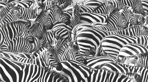 Stripes