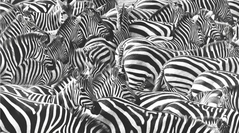 Stripes