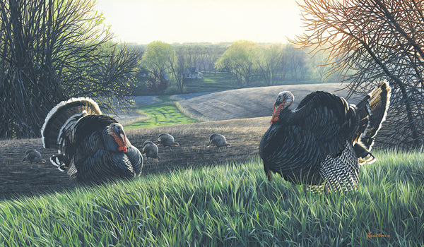 Turkey Ridge