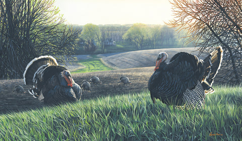 Turkey Ridge
