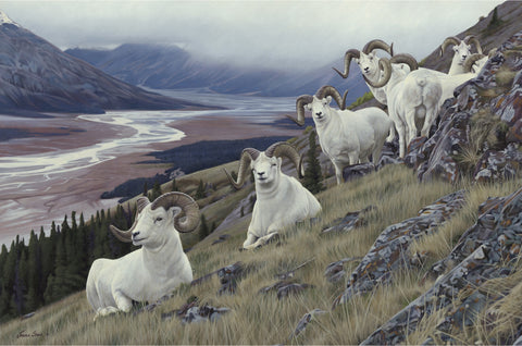 Gardiner's Rams